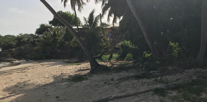 Antigua Coast and Hills Trek adventure image