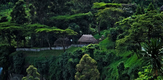 Mount Elgon Wagagai Summit Route trail image